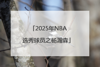 2025年NBA选秀球员之杨瀚森