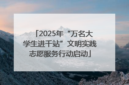 2025年“万名大学生进千站”文明实践志愿服务行动启动