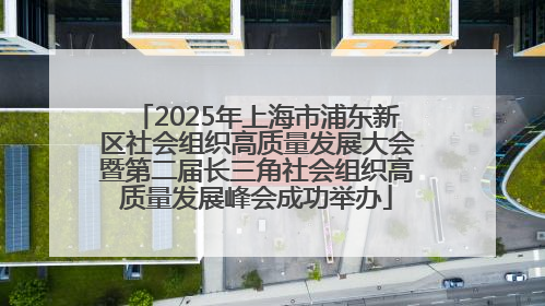 2025年上海市浦东新区社会组织高质量发展大会暨第二届长三角社会组织高质量发展峰会成功举办