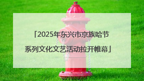 2025年东兴市京族哈节系列文化文艺活动拉开帷幕
