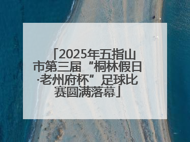 2025年五指山市第三届“桐林假日·老州府杯”足球比赛圆满落幕
