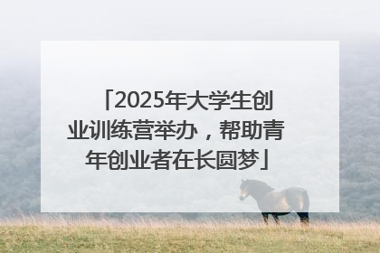 2025年大学生创业训练营举办，帮助青年创业者在长圆梦