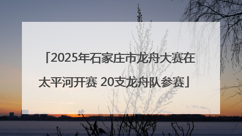 2025年石家庄市龙舟大赛在太平河开赛 20支龙舟队参赛
