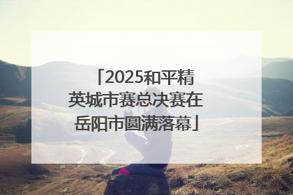 2025和平精英城市赛总决赛在岳阳市圆满落幕
