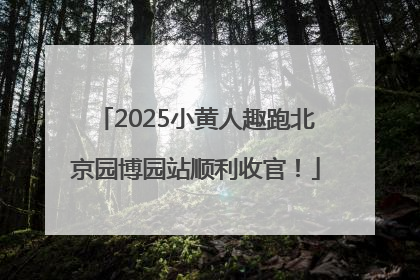 2025小黄人趣跑北京园博园站顺利收官！