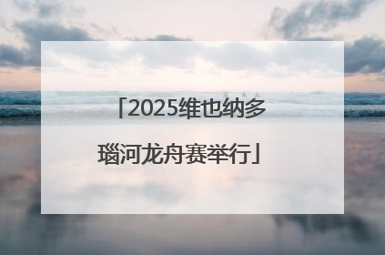 2025维也纳多瑙河龙舟赛举行