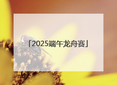 2025端午龙舟赛
