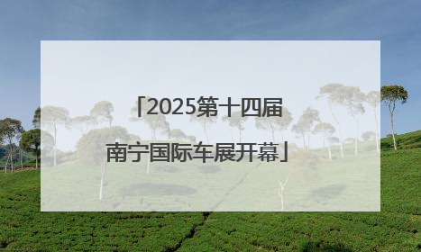 2025第十四届南宁国际车展开幕
