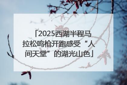 2025西湖半程马拉松鸣枪开跑感受“人间天堂”的湖光山色