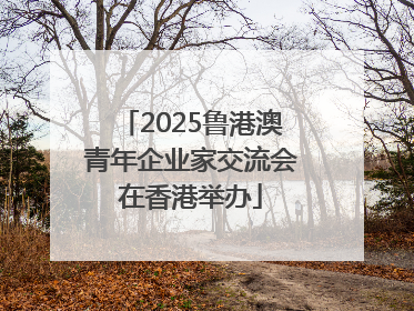 2025鲁港澳青年企业家交流会在香港举办