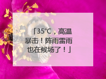 35℃，高温暴击！阵雨雷雨也在候场了！