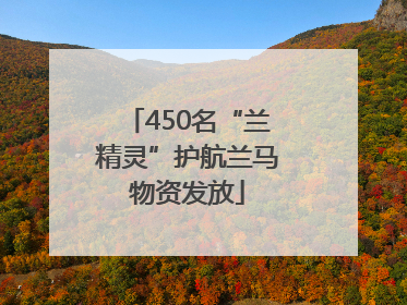 450名“兰精灵”护航兰马物资发放