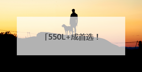 550L+成首选！苏宁易购618大容量冰箱增220%