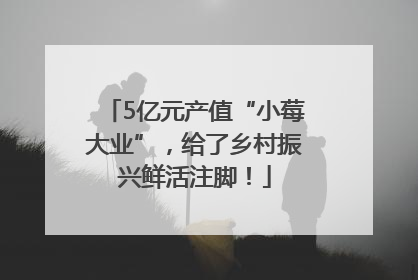 5亿元产值“小莓大业”，给了乡村振兴鲜活注脚！