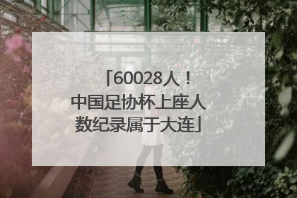 60028人！中国足协杯上座人数纪录属于大连