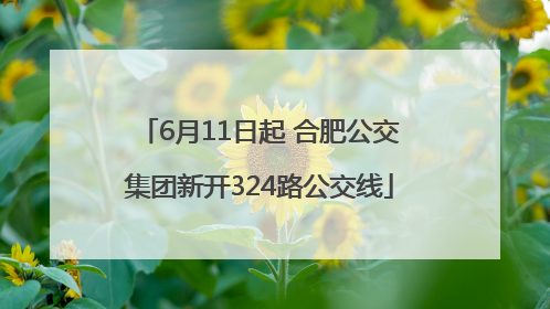 6月11日起 合肥公交集团新开324路公交线