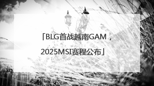BLG首战越南GAM，2025MSI赛程公布