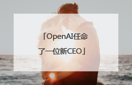 OpenAI任命了一位新CEO