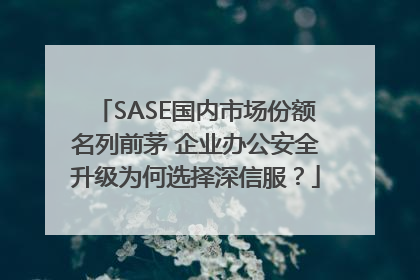SASE国内市场份额名列前茅 企业办公安全升级为何选择深信服？