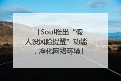 Soul推出“假人设风险提醒”功能，净化网络环境